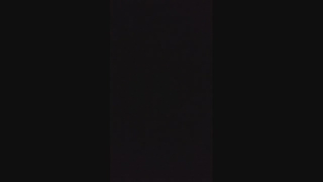 rex_2327  29-04-2022